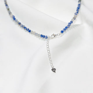 Blue Spot Jasper & Baroque Pearl Beaded Necklace