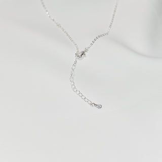 Sterling Silver Lucky Gourd & Fu Charm Y Necklace