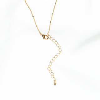 Double-Sided Red & White Shell Heart Necklace or Earrings with CZ, Gold Tone